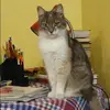 Отзыв от Альбина Высоцкая